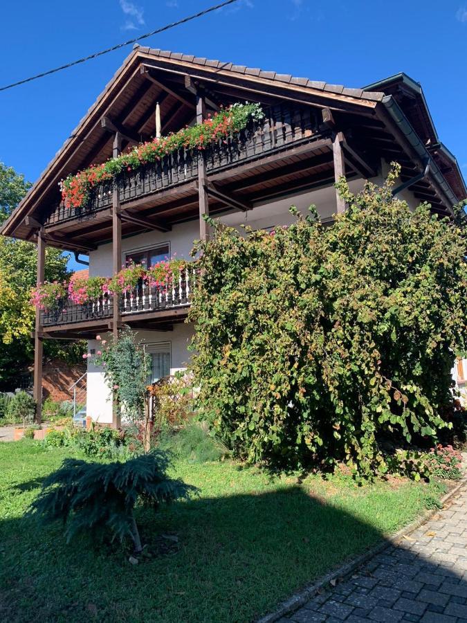 Gaestehaus Zum Rhein Rheinhausen Luaran gambar